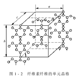 棉纤维的形态结构图片